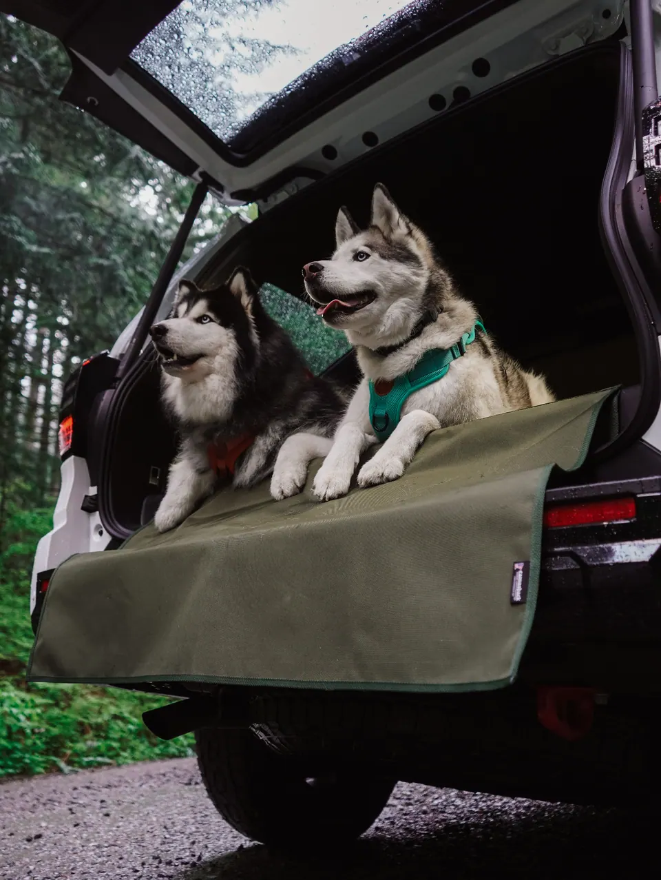 Canvasback Cargo Liner