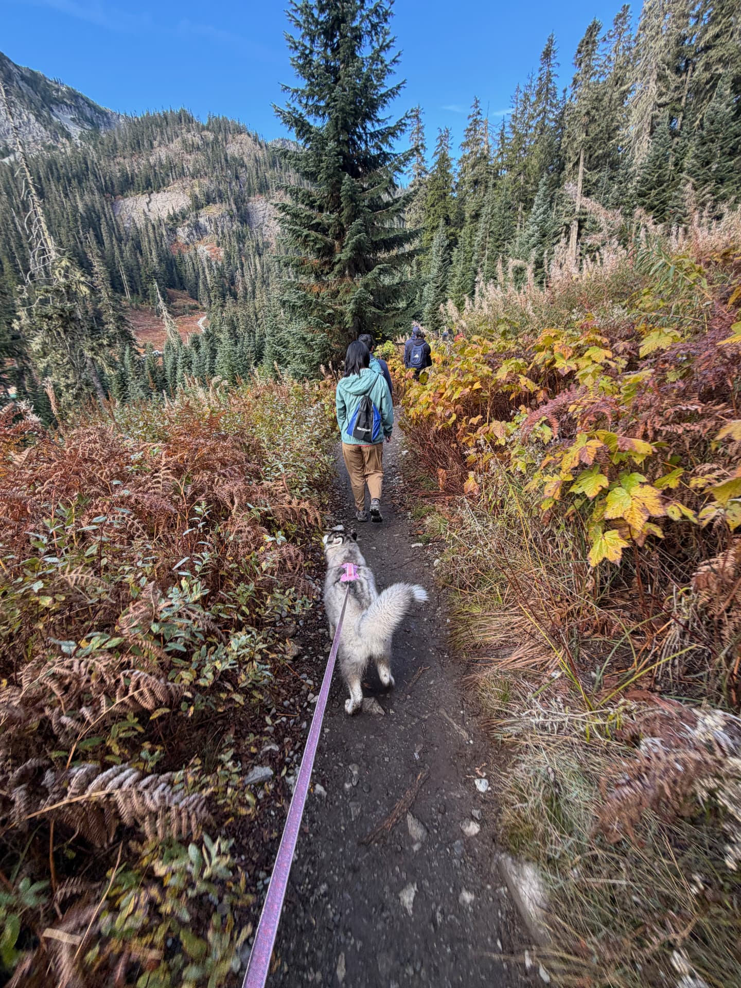 Cove follows hikers along the Source Lake trail through autumn foliage with mountains above Alpental in the background