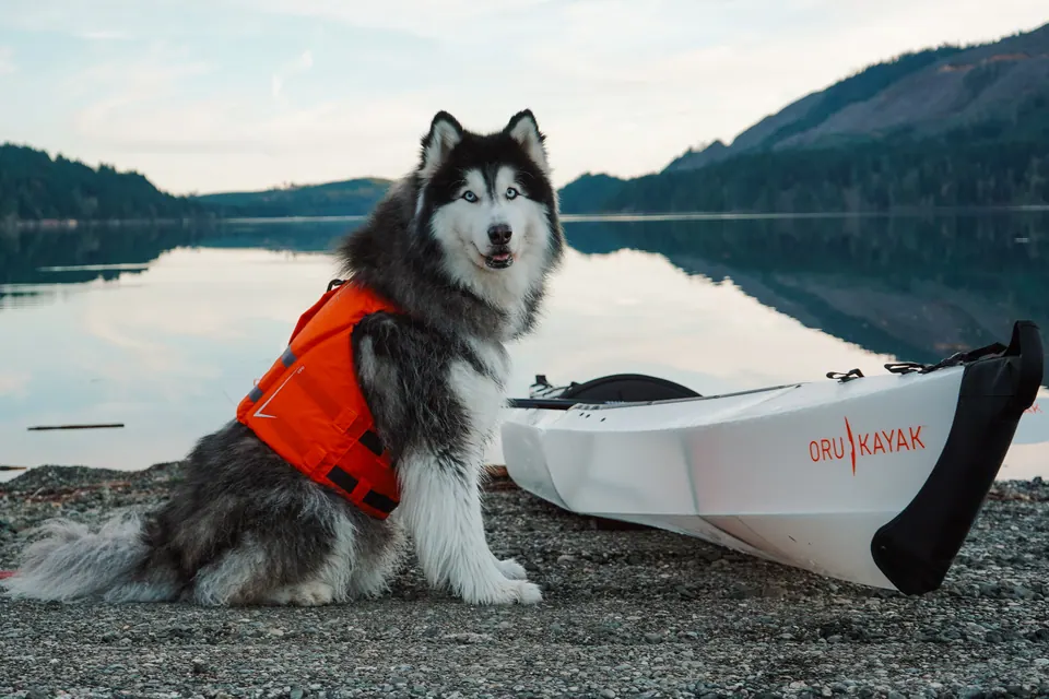 Oru Kayak
