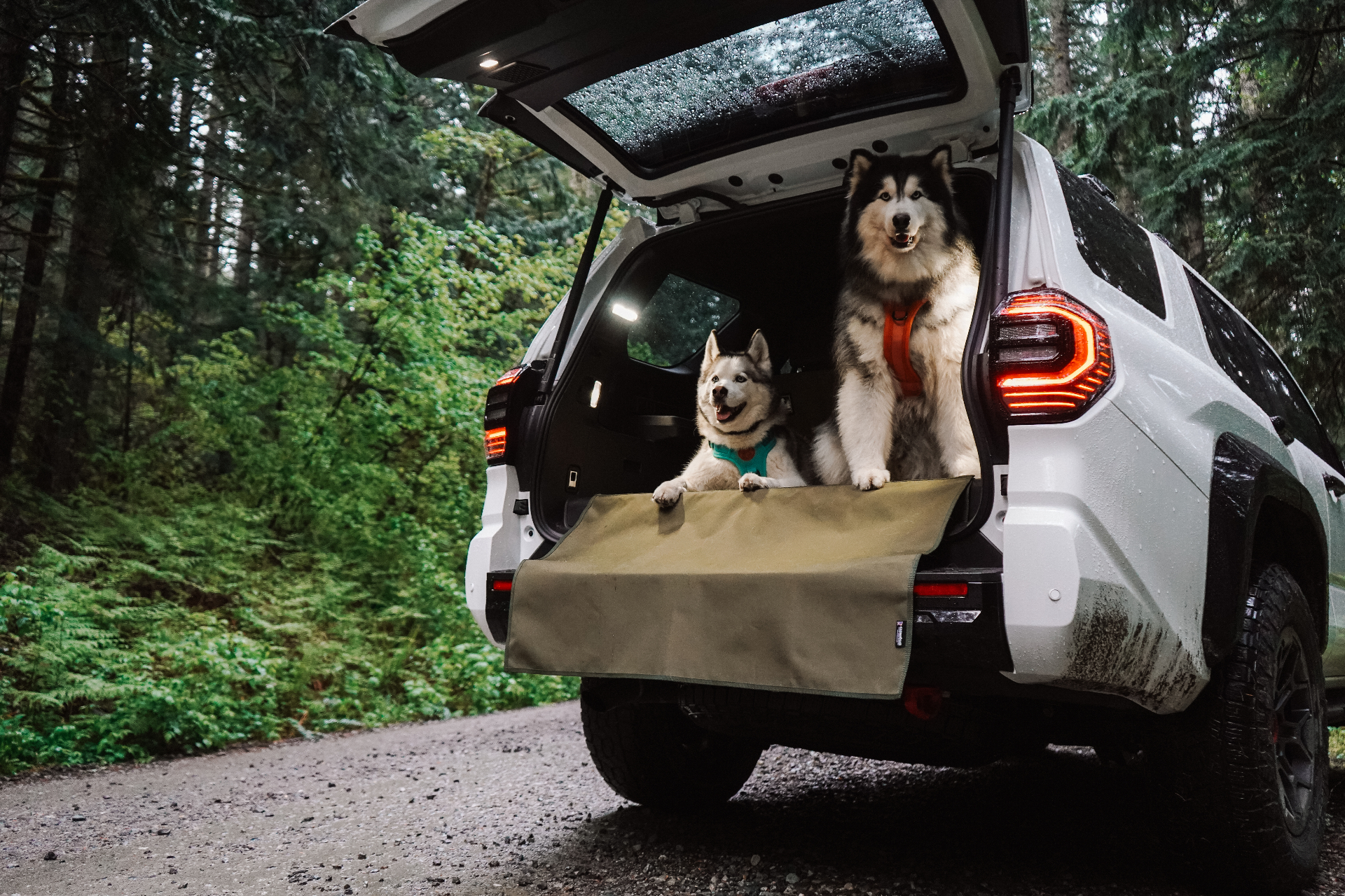 Canvasback Cargo Liner