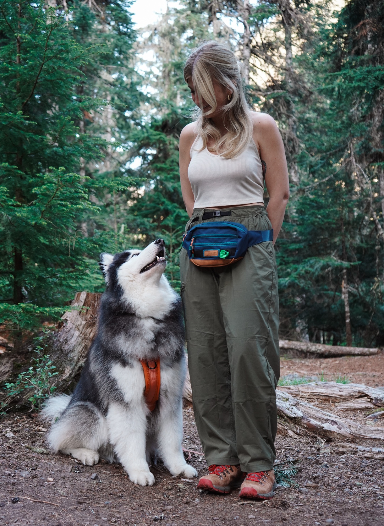 Wilderdog Utility Pack Pacific Blue