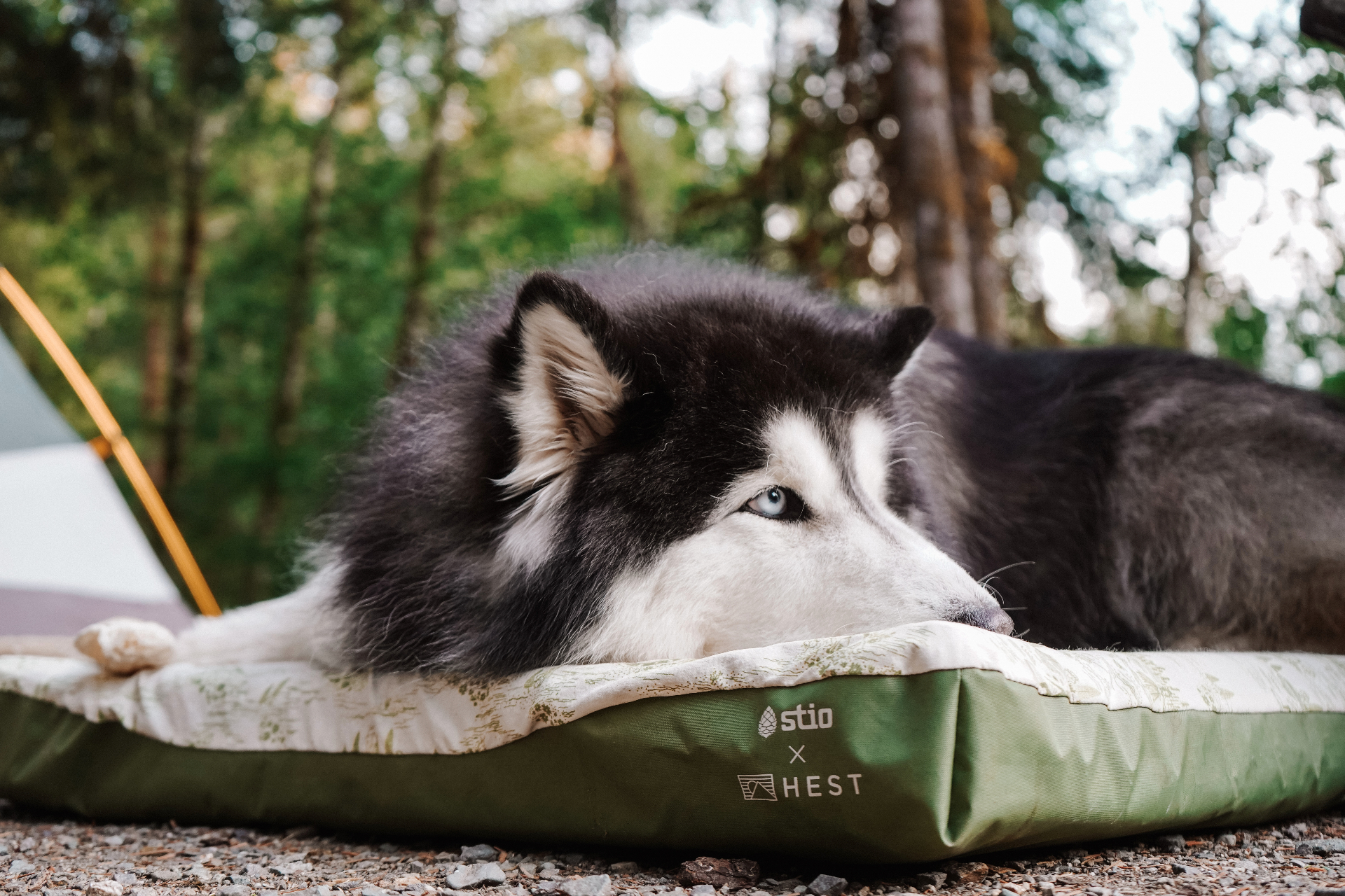Stio x HEST Dog Bed