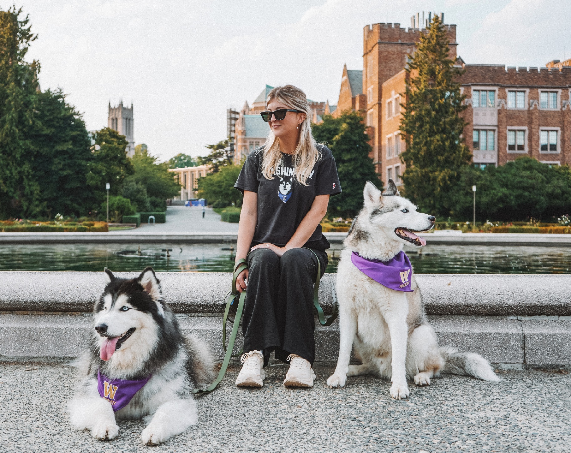 UW Huskies