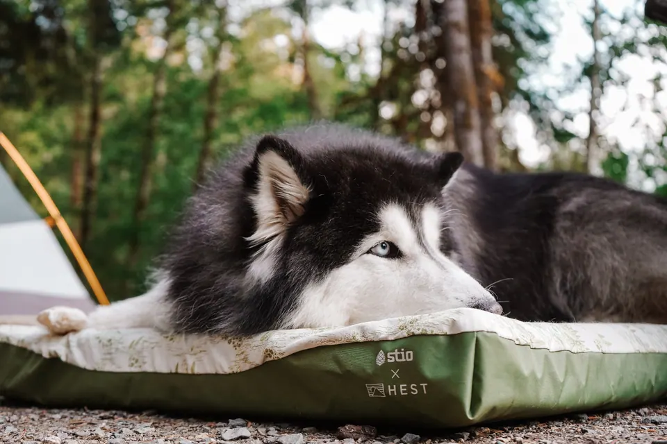 Stio x HEST Dog Bed
